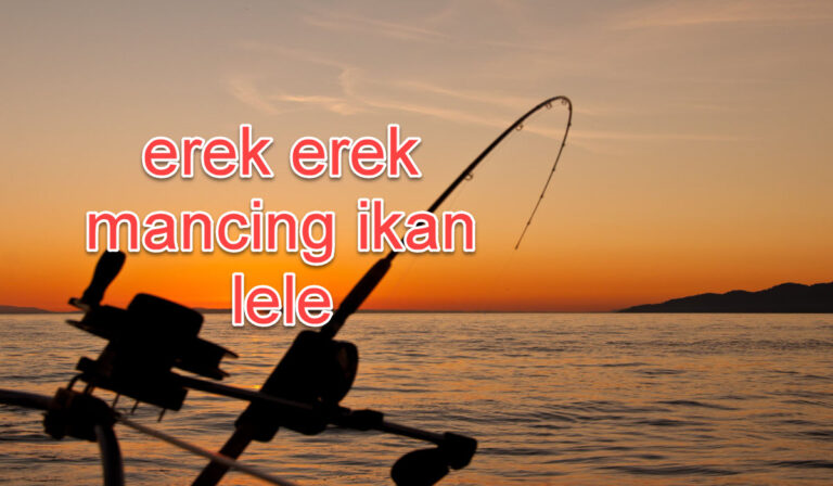 erek-erek-mancing-ikan-lele