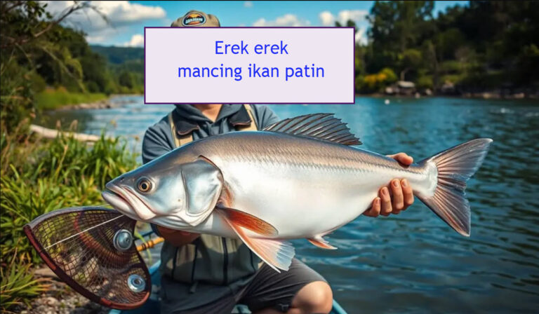 erek erek mancing ikan patin